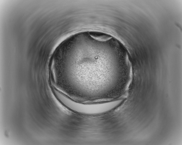 X0000096471523200802071845