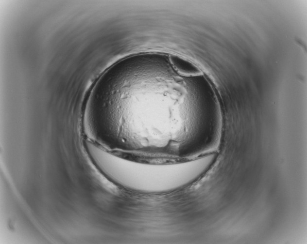 X0000096471525200802071845