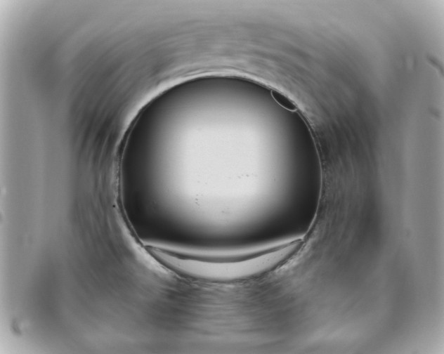 X0000096471526200802071845