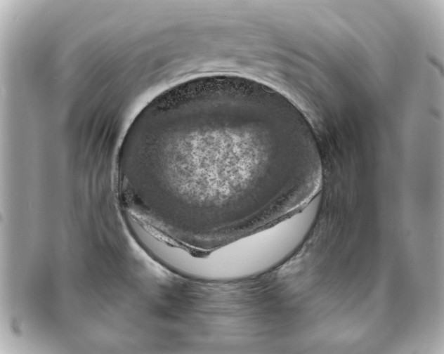X0000096471527200802071845