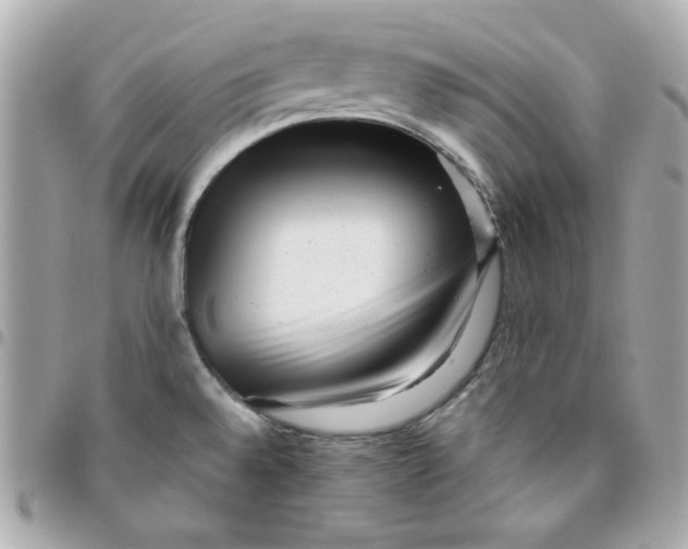 X0000096471528200802071845
