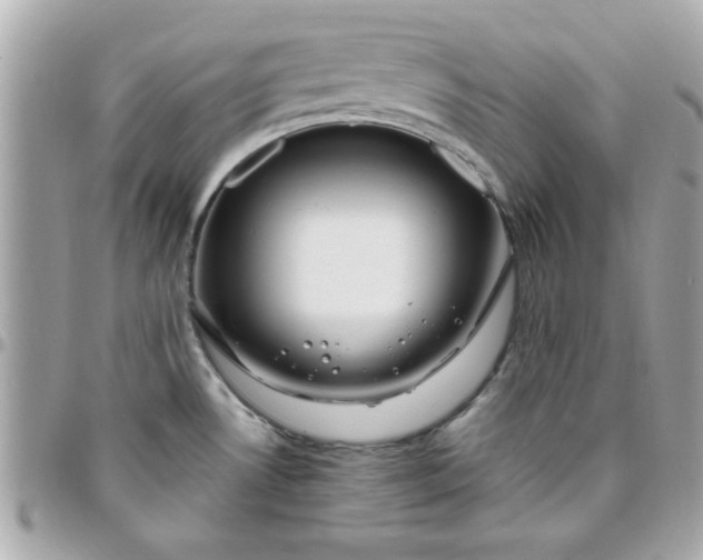 X0000096471530200802071845