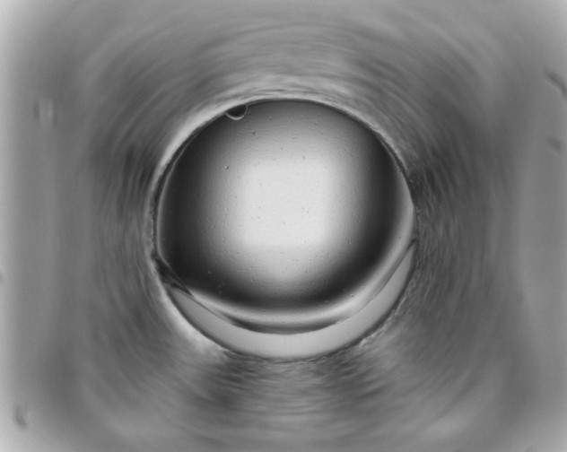 X0000096471531200802071845