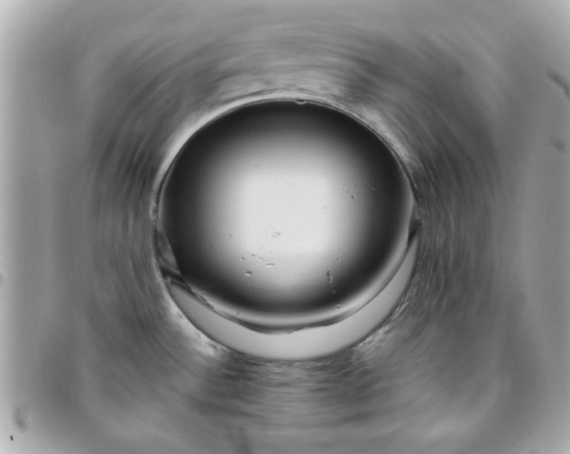 X0000096471532200802071845
