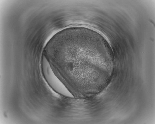 X0000096471533200802071845