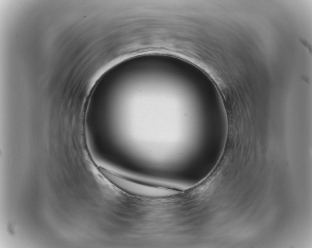 X0000096471534200802071845