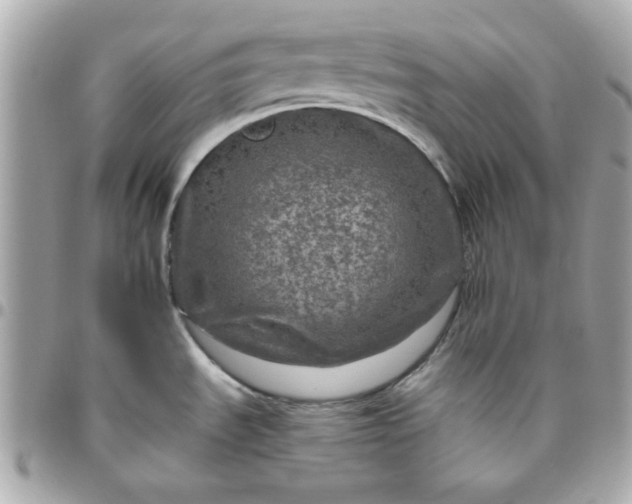 X0000096471535200802071845