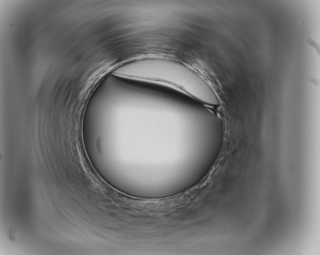 X0000096470001200802141709