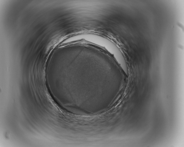 X0000096470002200802141709