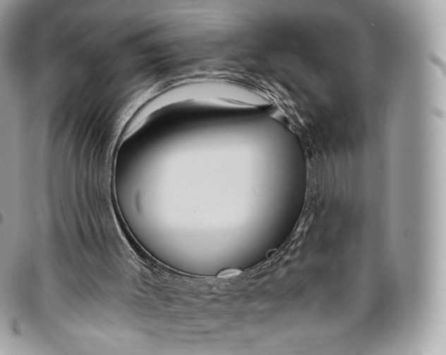 X0000096470003200802141709