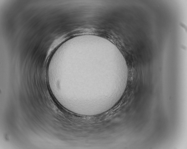 X0000096470004200802141709