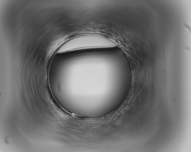 X0000096470005200802141709