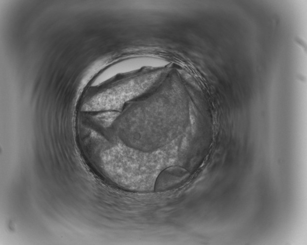 X0000096470006200802141709