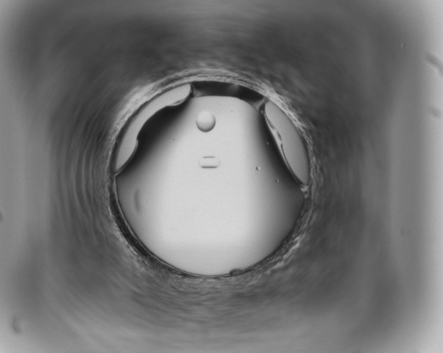 X0000096470007200802141709