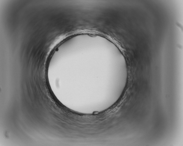 X0000096470008200802141709