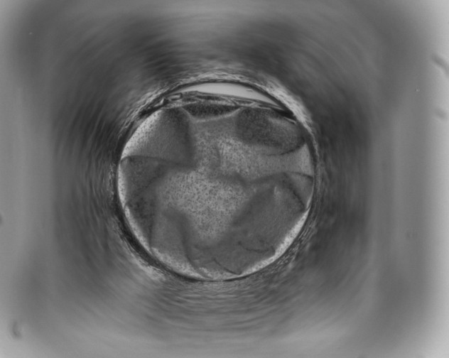 X0000096470009200802141709