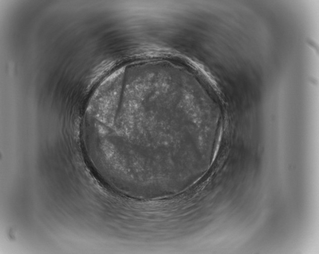 X0000096470010200802141708