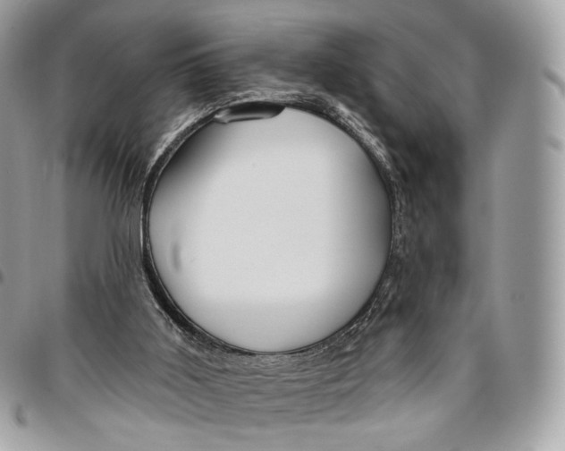 X0000096470011200802141708