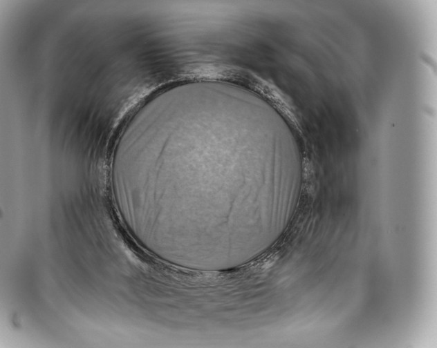 X0000096470012200802141708