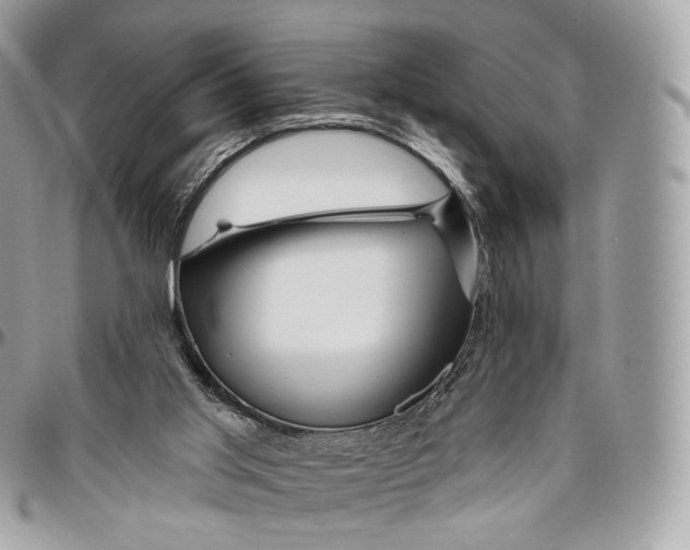 X0000096470013200802141708