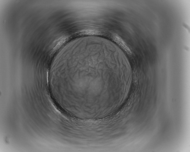 X0000096470014200802141708