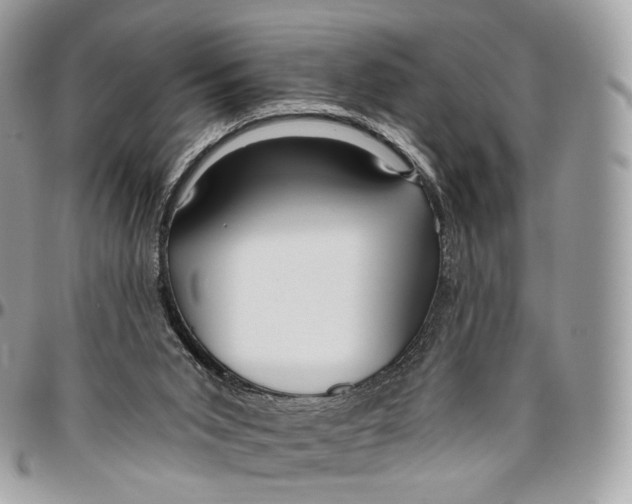 X0000096470015200802141708