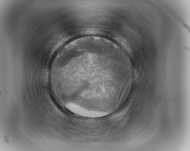 X0000096470016200802141708