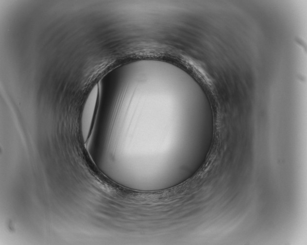 X0000096470017200802141708