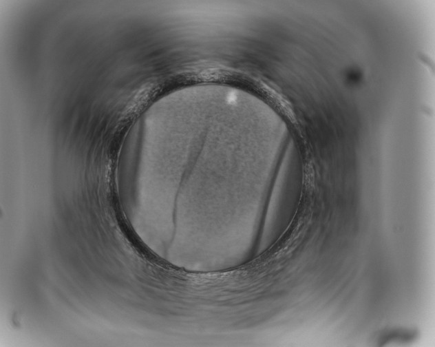 X0000096470018200802141708