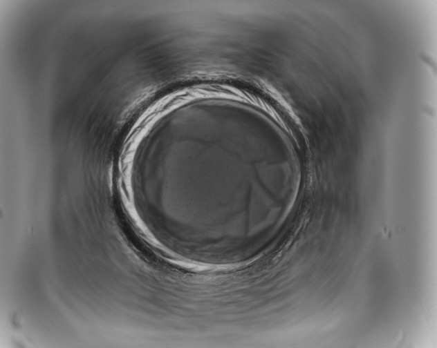 X0000096470019200802141708