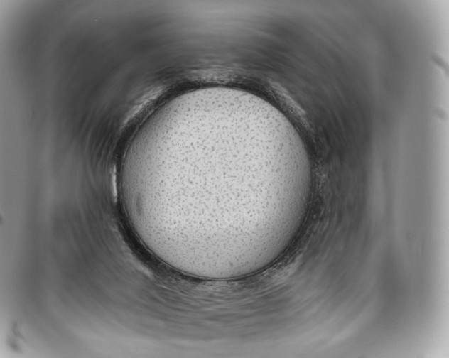 X0000096470020200802141708