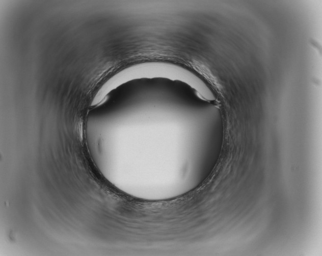 X0000096470021200802141708