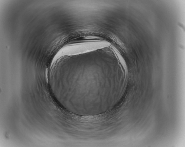 X0000096470022200802141708