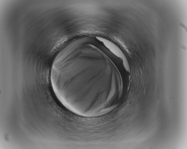 X0000096470023200802141708