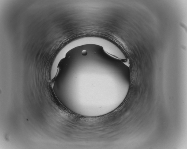 X0000096470025200802141708