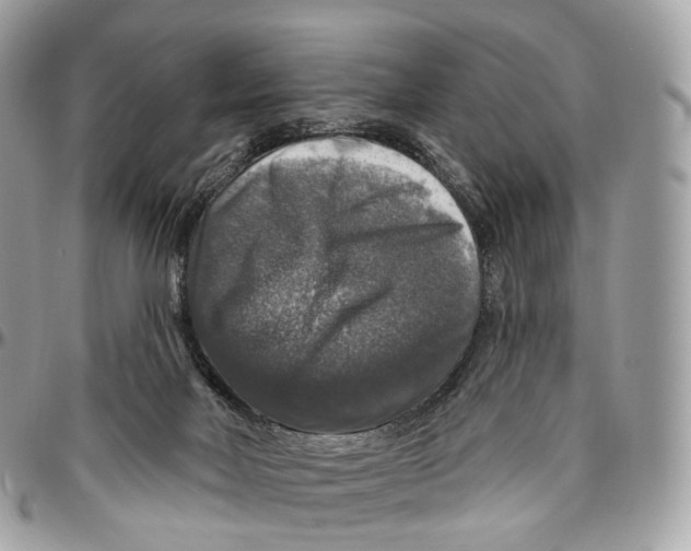 X0000096470026200802141708