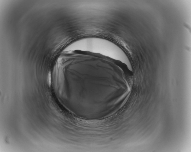 X0000096470027200802141708