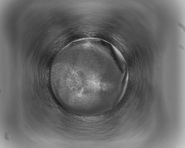 X0000096470030200802141708