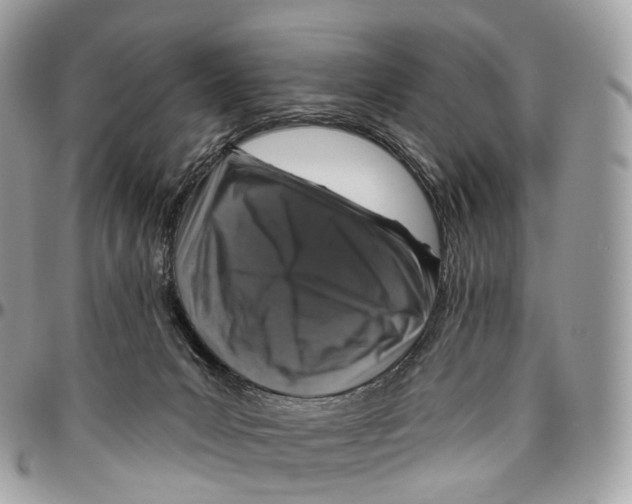 X0000096470031200802141708