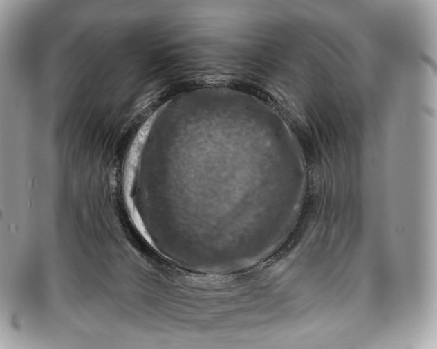 X0000096470032200802141708