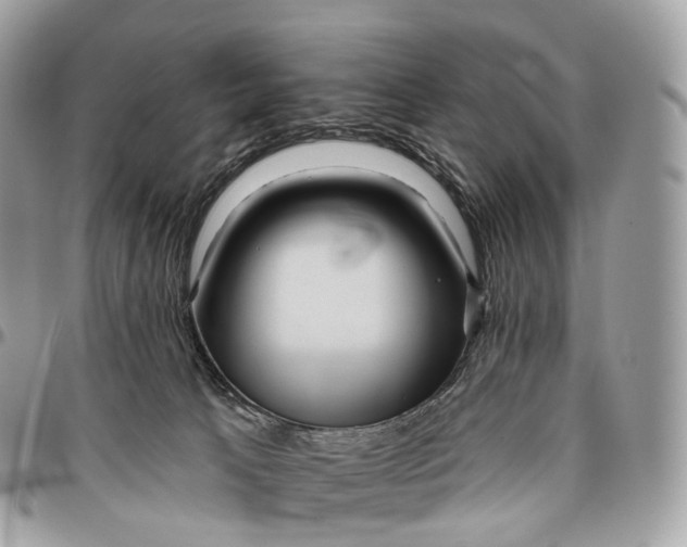 X0000096470033200802141708