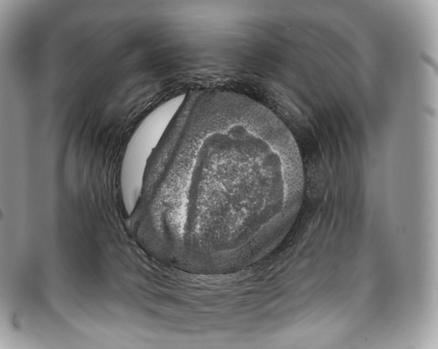 X0000096470034200802141708