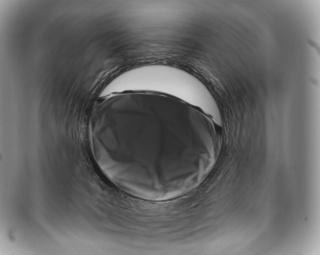 X0000096470035200802141708