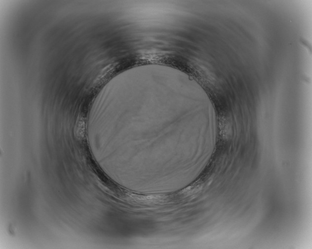 X0000096470036200802141708