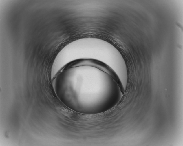 X0000096470037200802141708