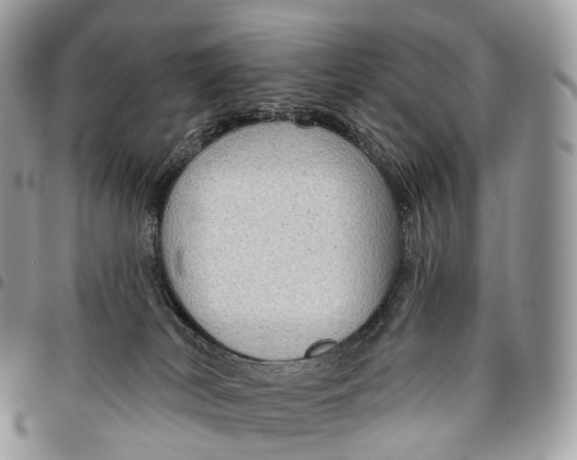 X0000096470038200802141708