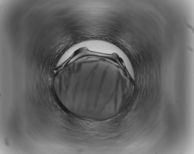 X0000096470039200802141708