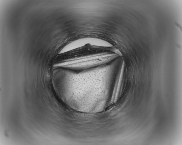 X0000096470040200802141708