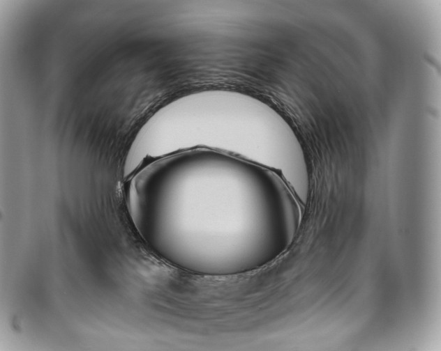 X0000096470041200802141708