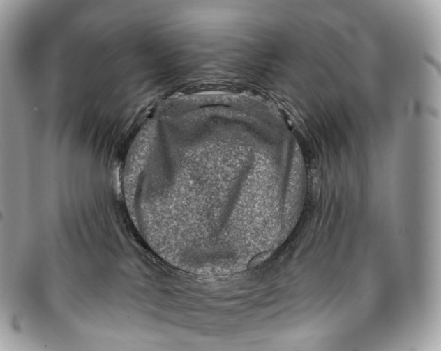 X0000096470042200802141708